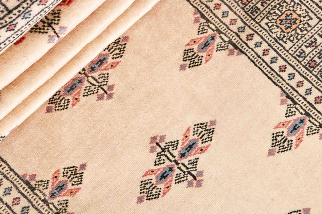 Pakistan Buchara 2ply - 2