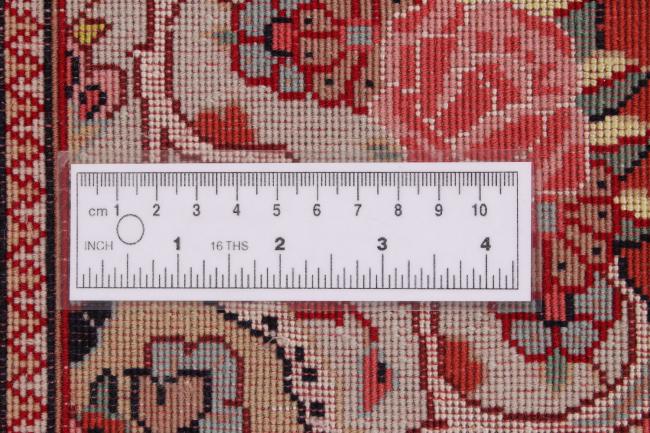 タブリーズ 50Raj - 6