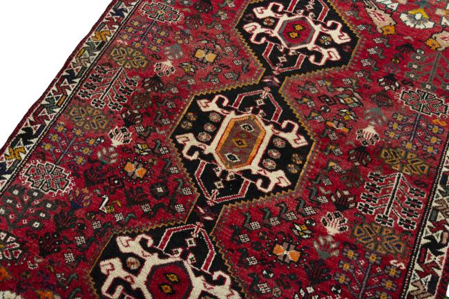 Shiraz - 4