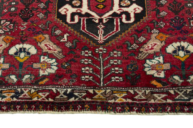 Shiraz - 5