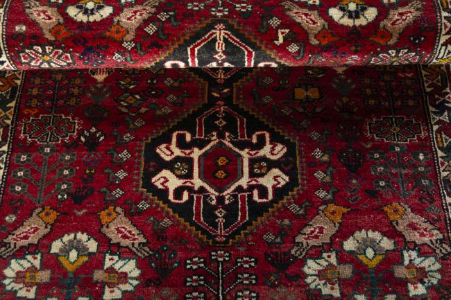 Shiraz - 7