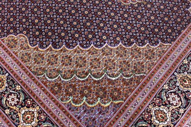 Tabriz Mahi - 6