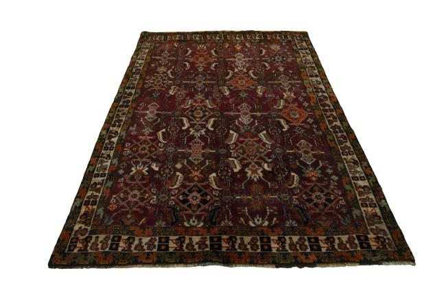 Shiraz - 4