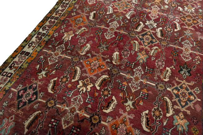 Shiraz - 5