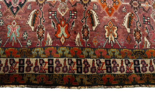 Shiraz - 6