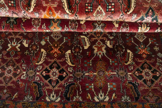 Shiraz - 8