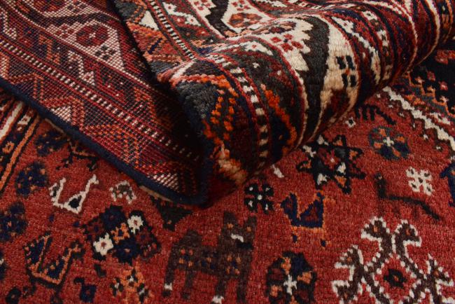 Shiraz - 1