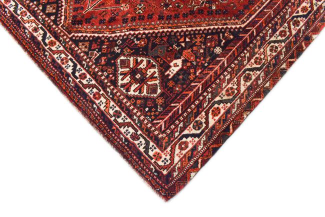 Shiraz - 7