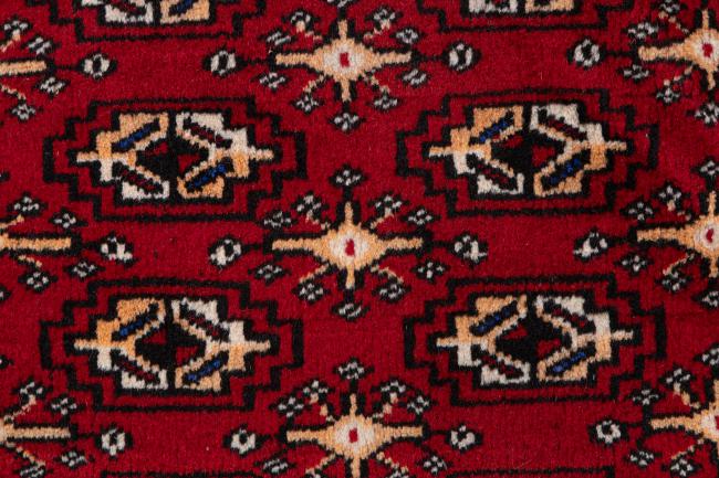 Turkaman - 6