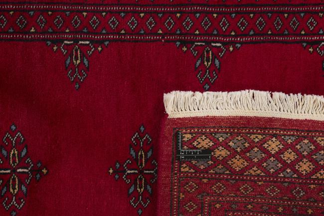 Pakistan Buchara 2ply - 1