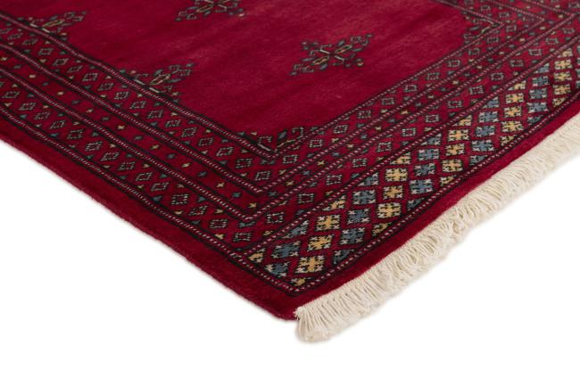 Pakistan Buchara 2ply - 3