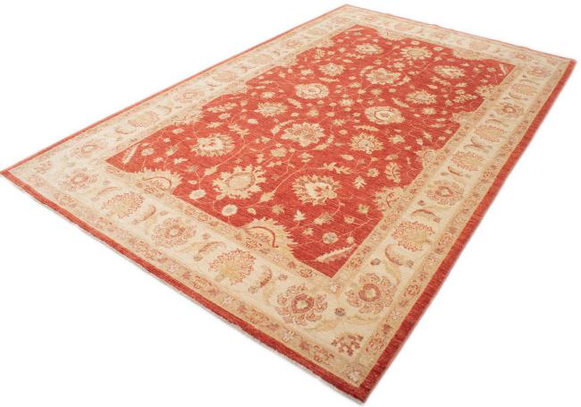 Ziegler Farahan - 2