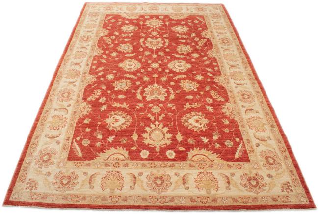 Ziegler Farahan - 3