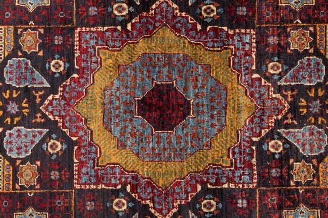 Ziegler Farahan - 7