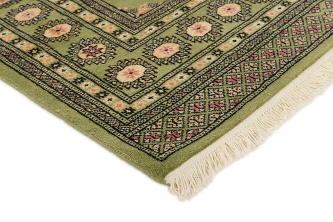 Pakistan Buchara 2ply - 3