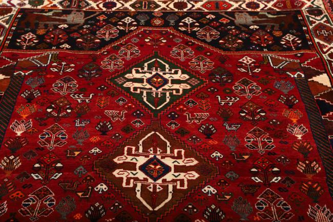 Shiraz - 9