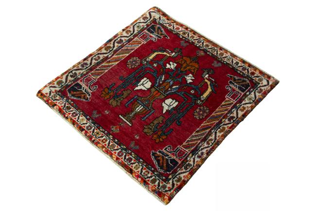 Shiraz - 1