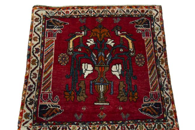 Shiraz - 3