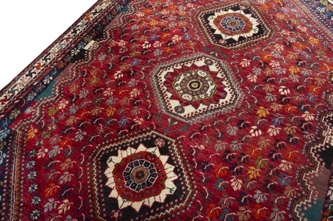 Shiraz - 4