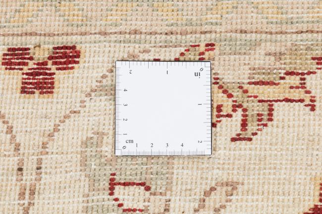 Ziegler Farahan - 13