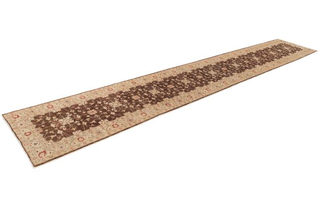 Ziegler Farahan - 2
