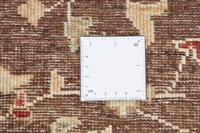 Ziegler Farahan - 11