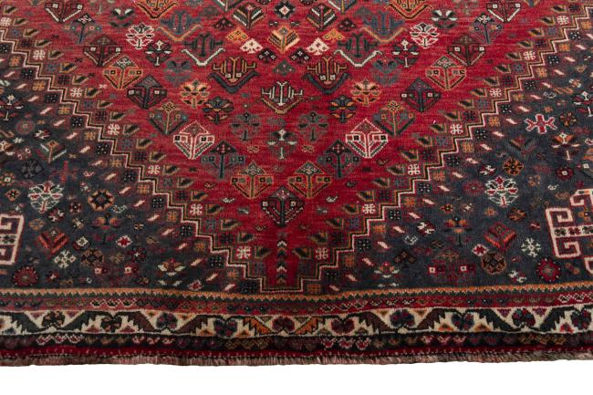 Shiraz - 6