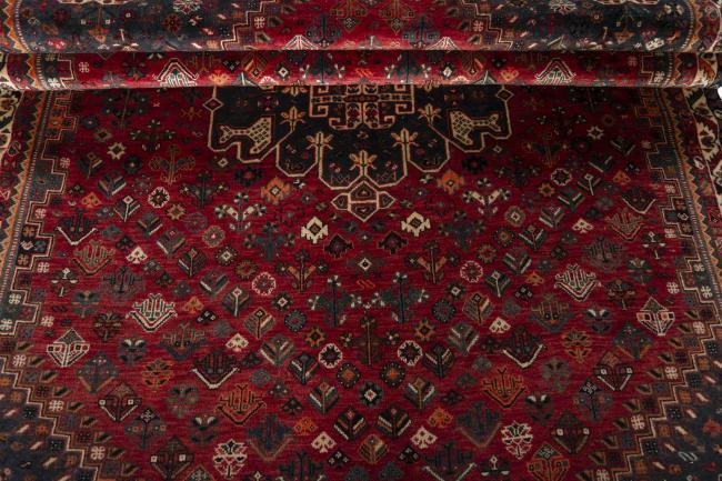 Shiraz - 8