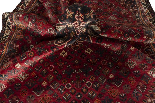 Shiraz - 9