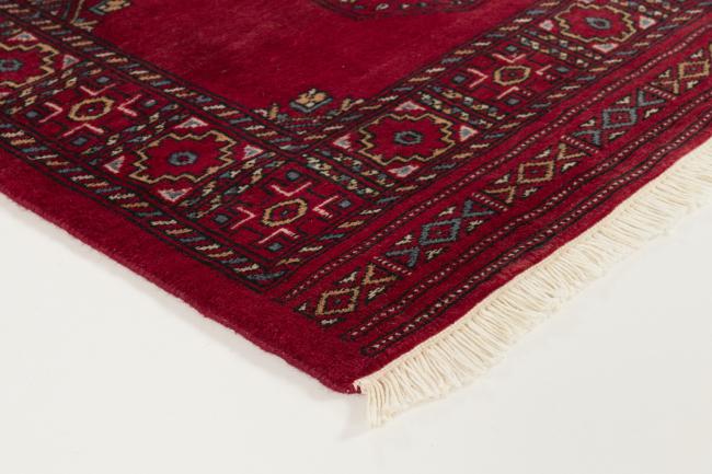 Pakistański Buchara 3ply - 3
