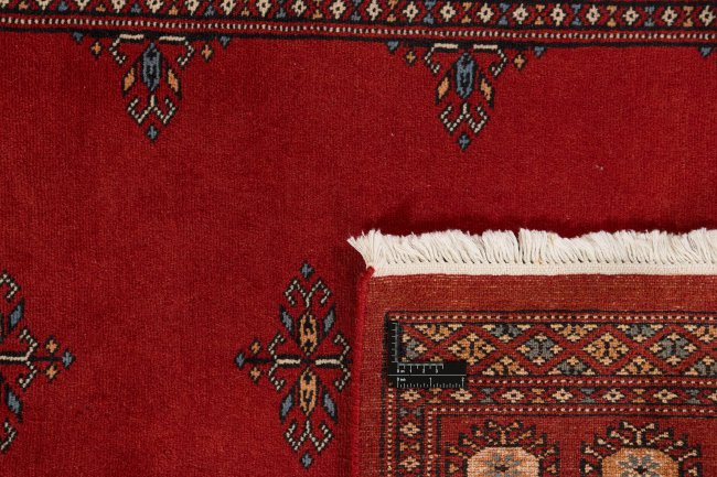 Pakistan Buchara 2ply - 1