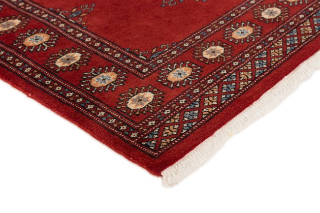 Pakistan Buchara 2ply - 3