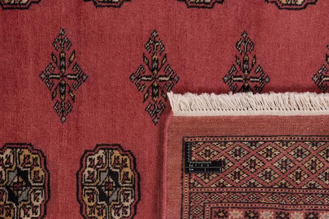 Pakistan Buchara 2ply - 1