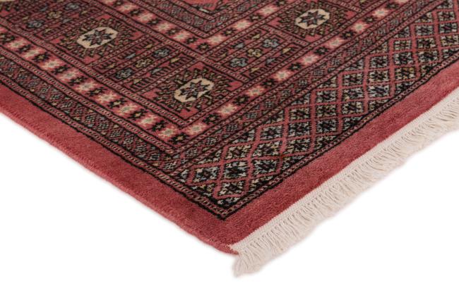 Pakistan Buchara 2ply - 3
