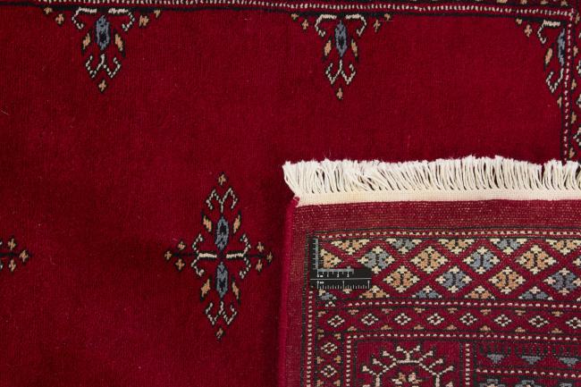 Pakistan Buchara 3ply - 1