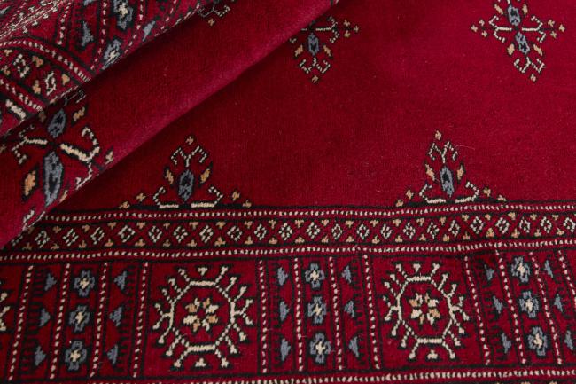 Pakistan Buchara 3ply - 2