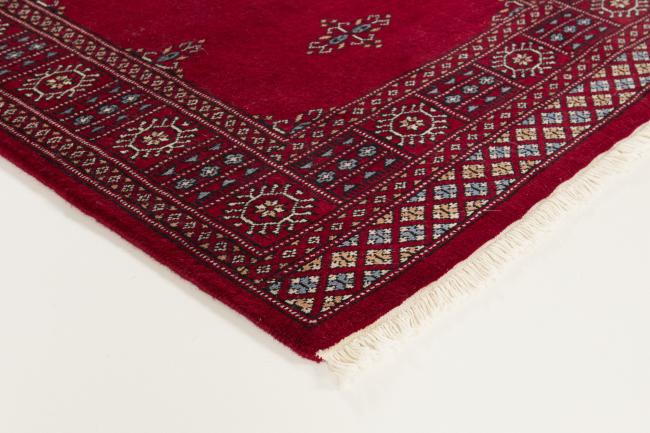 Pakistan Buchara 3ply - 3