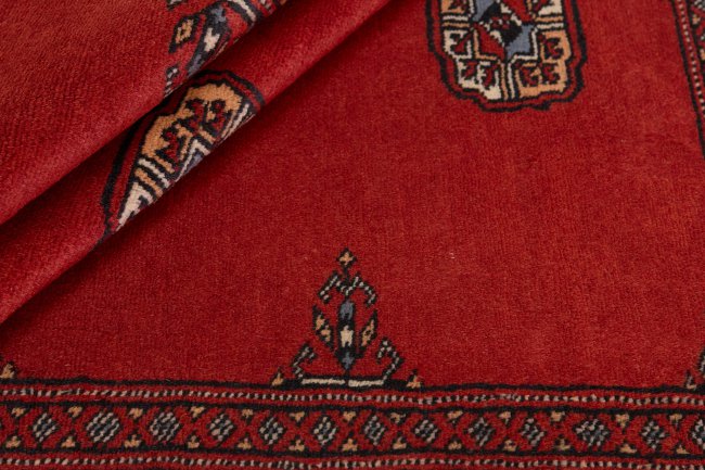 Pakistan Buchara 2ply - 2