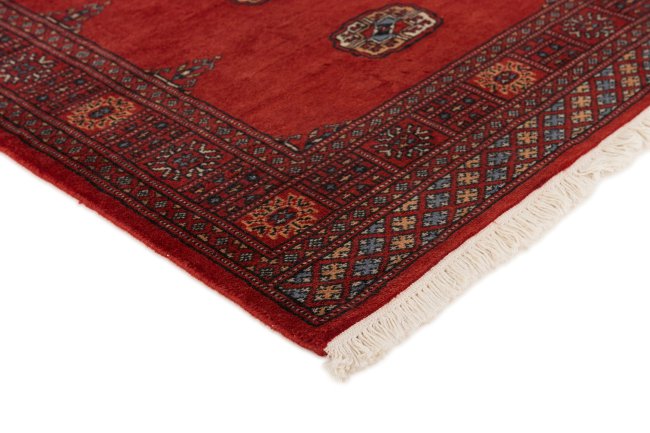 Pakistan Buchara 2ply - 3