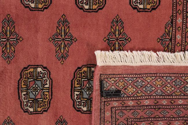 Pakistan Buchara 2ply - 1