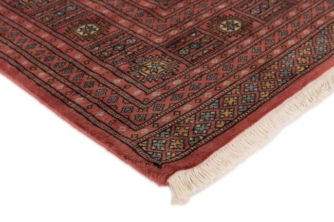 Pakistan Buchara 2ply - 3