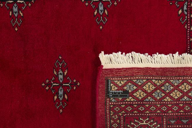 Pakistan Buchara 3ply - 1