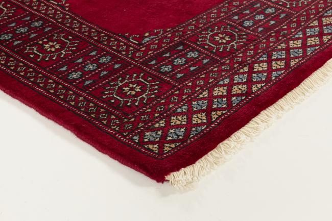 Pakistan Buchara 3ply - 3