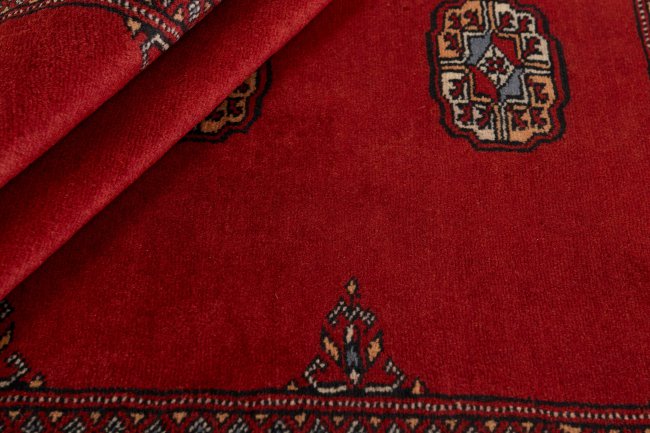 Pakistan Buchara 2ply - 2
