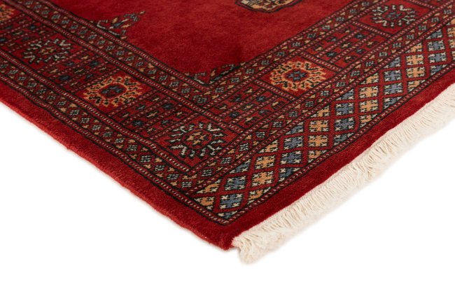 Pakistan Buchara 2ply - 3