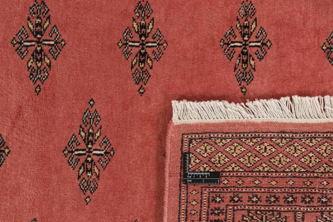 Pakistan Buchara 2ply - 1