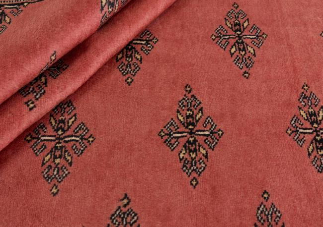 Pakistan Buchara 2ply - 2