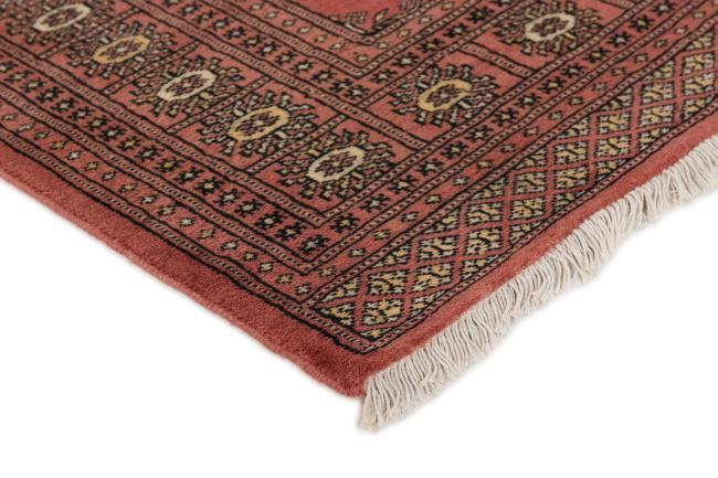 Pakistan Buchara 2ply - 3