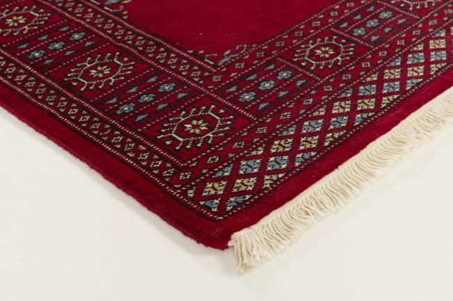 Pakistański Buchara 3ply - 3