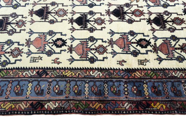 Shiraz - 6